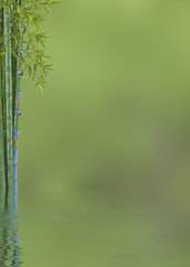 Fototapeta na wymiar relaksujący wystrój tle bambusa