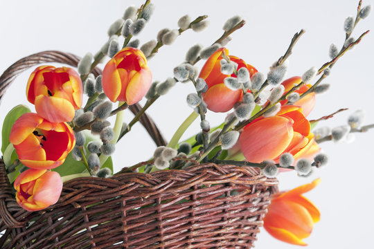 Fr&uuml;hlingsboten