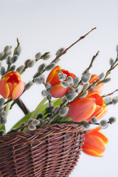 Fr&uuml;hlingsboten