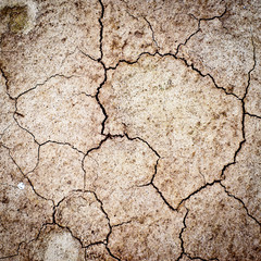 cracked earth texture