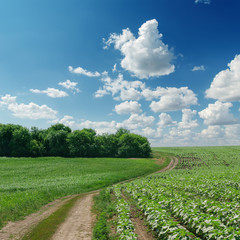 winding rural road in green field and cloudy sky over it
