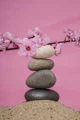 Obraz na płótnie Canvas Skład zen róża