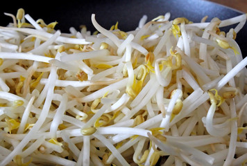 Fresh Organic Bean Sprouts