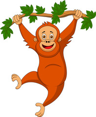 Cute orangutan cartoon hanging on a tree branch © tigatelu