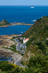 Wellington Cityscape © Rafael Ben-Ari