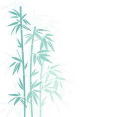Fototapeta na wymiar Bamboo niebieski cień kolory
