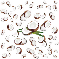 cocco volante