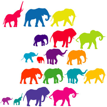 Set of elephant colored silhouettes
