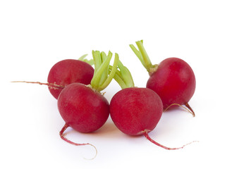 Radishes isolated on white