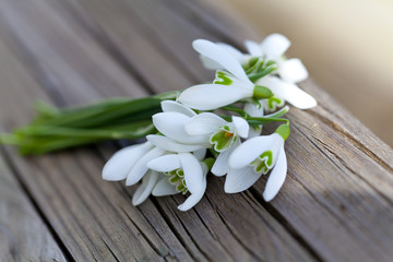 snowdrops on wooden surface