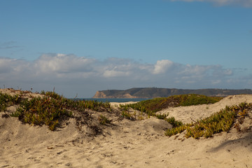 Coronado Island Beach and Point Loma