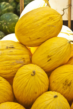 yellow melons for sale