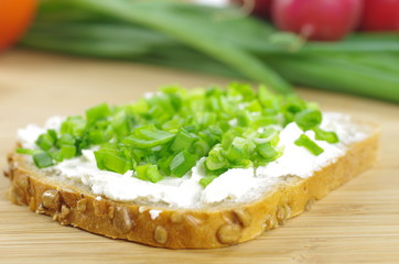 slice of bread with cottage cheese and the vegetables