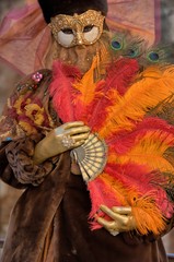 carnevale di venezia,maschera 2815