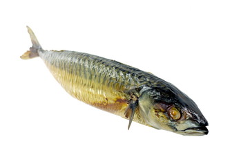 smoked mackerel