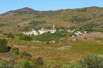 Mediterranean village of Cosprons and vineyards, Languedoc Roussillon, Pyrenees Orientales, France