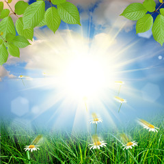 Obraz premium green nature background