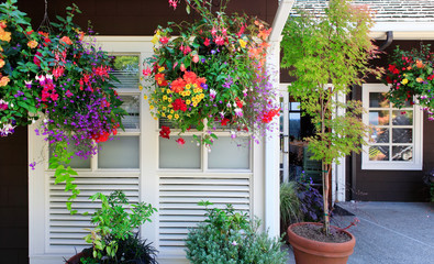 Flowers in the hanging baskets with white windows