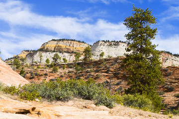 Zion National Park, USA.