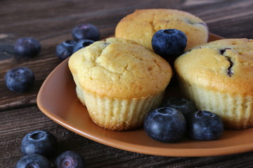 blueberry muffin
