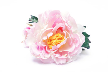 Artificial pink rose on white background