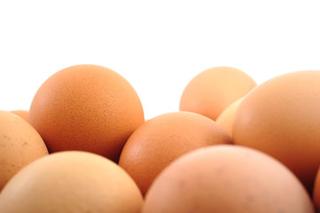 chicken eggs
