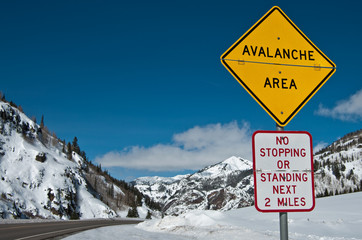 Avalanche Area Sign