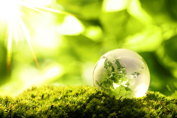 Green World