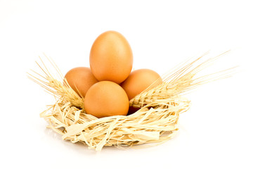 Jajka na białym tle © CUKMEN