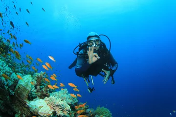 Rolgordijnen Scuba Diver verkent koraalrif © Richard Carey