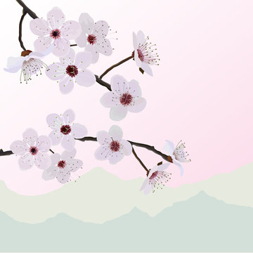 Beautiful flowers on almond background silhouettes mountains
