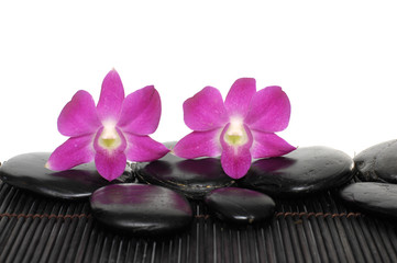 orchid with stones on bamboo stick straw mat