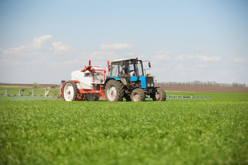 Tractor spraying a green field on a farm