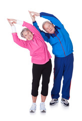 Portrait Of A Senior Couple Exercising
