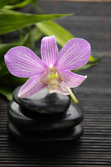 pink orchid with stacked stones on bamboo stick straw mat