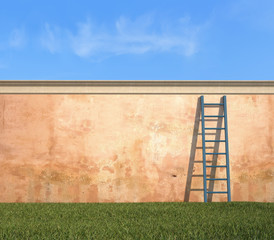 ladder against a grunge wall in a garden © archideaphoto