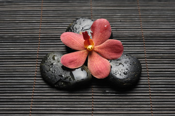 Close up red orchid and zen Stones on bamboo mat
