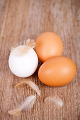 Fototapeta na wymiar three eggs and feathers