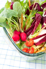 Fresh Salad