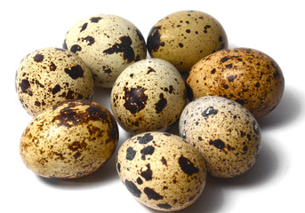 Fototapeta premium Huevos de codorniz