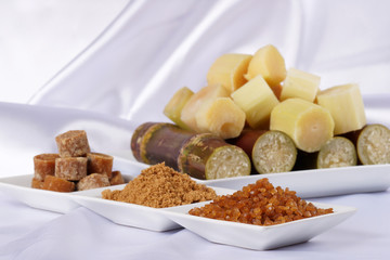 Various kinds of sugar and sugar cane