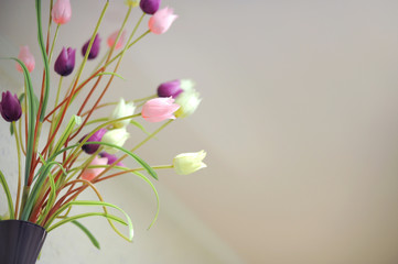 Tulips in Pot