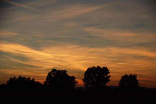 baeume bei sonnenuntergang