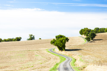 Fototapeta na wymiar field with a road, Gers Department, France