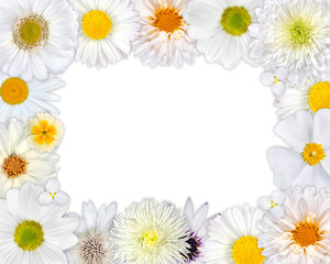 Flower Frame with White Flowers on Blank Background