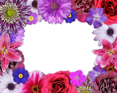 Flower Frame Pink, Purple, Red Flowers on White