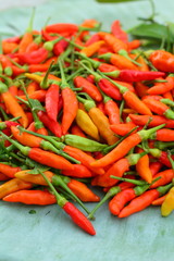 Fresh chilli - red hot peppers