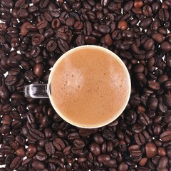 tasse de café