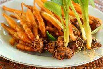 Finger root herb