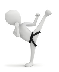 3d small people - karate fighter.